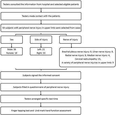 Finger Tapping Outperforms the Traditional Scale in Patients With Peripheral Nerve Damage